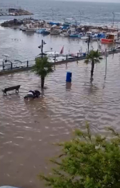 Bursa’da sağanak, yolları göle çevirdi