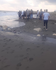 Hatay'da denize giren 2 kişi boğuldu