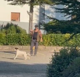 BARTIN - Olta ucuna bağladığı canlı güvercinle av köpeğine eğitim yaptıran kişiye para cezası (VİDEO EKLENDİ)