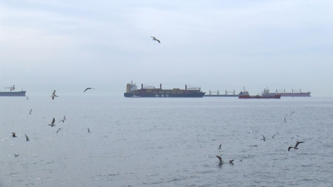 İstanbul - Bakırköy'de kargo gemisi karaya oturdu-1